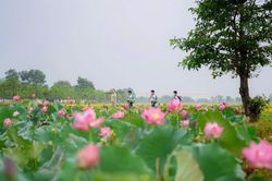 Thành phố Huế tổ chức loạt sự kiện hấp dẫn chào đón du khách trong tháng 6