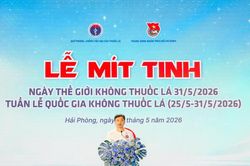 Sôi nổi loạt hoạt động ý nghĩa hưởng ứng Ngày Thế giới không thuốc lá 2026