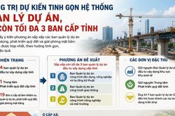 Quảng Trị dự kiến tinh gọn hệ thống quản lý dự án, chỉ còn tối đa 3 ban cấp tỉnh