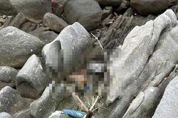 Thi thể trơ xương được phát hiện ở gành đá ven biển Khánh Hòa