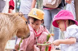 Ấm áp Tết Thiếu nhi