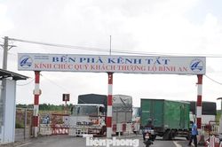 Vĩnh Long xin trung ương vốn để duy trì hoạt động cụm phà Vàm Cống
