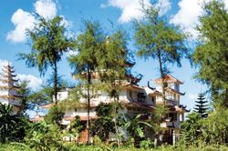 Nguyễn Văn Hảo: Thương gia xe hơi nổi tiếng một thời tại Sài Gòn