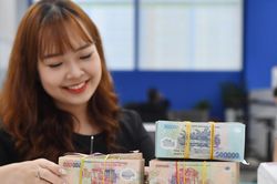 Sự thật việc nợ thuế 15.000 đồng bị tạm hoãn xuất cảnh; dùng vàng giao dịch nhà đất