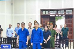 Cựu giám đốc Công ty Viglacera Hạ Long 2 bị phạt 15 năm tù
