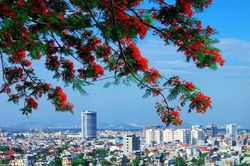 Giám sát đi vào những vấn đề được cử tri và Nhân dân quan tâm như quản lý đất đai, môi trường