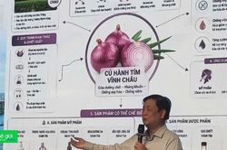 Hành trình kể chuyện nâng tầm nông sản Việt Nam của nguyên Phó chủ tịch Quốc hội