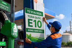 Đổi điện thoại, đổ xăng, đi học: Những thay đổi từ tháng 6/2026 bắt buộc phải biết