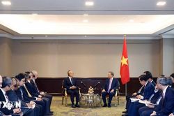 Tổng Bí thư, Chủ tịch nước Tô Lâm tiếp lãnh đạo ADB, WHO và doanh nghiệp tại Philippines