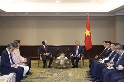 Tổng Bí thư, Chủ tịch nước Tô Lâm tiếp Chủ tịch, Tổng Giám đốc điều hành Tập đoàn Aboitiz Foods