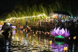 Lung linh 'Lễ hội hoa đăng - Huyền ảo đêm rừng dừa'