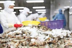 Ghẹ Việt Nam rộng cửa vào Mỹ, tôm tiếp tục chịu sức ép