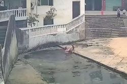 Thấy bé trai rơi xuống ao, cụ ông 69 tuổi lao xuống giải cứu