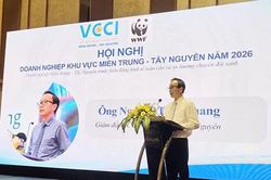 Doanh nghiệp miền Trung - Tây Nguyên: Doanh thu được dự báo tăng, doanh nghiệp vẫn ngại mở rộng sản xuất