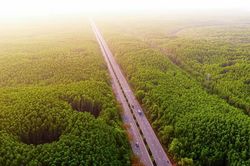 Metro Bến Thành - Cần Giờ giảm gần 3.000 tỉ đồng chi phí giải phóng mặt bằng