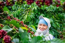 Vượt ải ESG để bước vào chuỗi giá trị