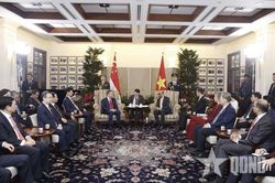 Việt Nam - Singapore: Thúc đẩy hợp tác kinh tế, thương mại, công nghiệp, năng lượng