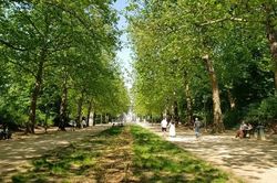 Người Bỉ ứng phó nắng nóng kỷ lục bất thường