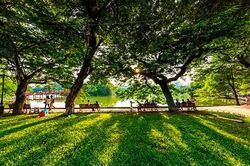 Thời tiết Bắc Ninh đêm 31/5, ngày 1/6: Nhiệt độ cao nhất 37 độ
