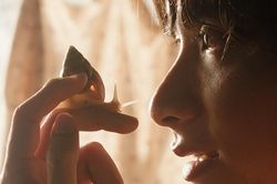 Đạo diễn Nguyễn Thiên Ân mang Giấc mơ là ốc sên đến Cannes
