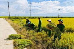 Học Bác bằng việc làm thiết thực