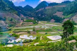 Mùa ốc thả đồng ở bản Lồng