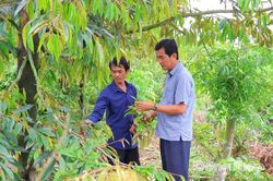 Điểm tựa cuộc sống từ những căn nhà Đại đoàn kết