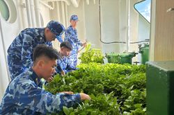 Những 'mầm xanh' trên boong tàu cảnh sát biển