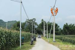 Lắp đặt miễn phí công trình 'Thắp sáng đường thôn' tại xã Quốc Việt