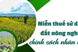Miễn thuế sử dụng đất nông nghiệp chính sách nhân văn