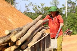 Miền Bắc, miền Trung nắng nóng kéo dài cả tuần tới