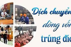 Dịch chuyển dòng vốn trúng đích