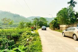 Nông Trường vươn lên từ đồi rừng
