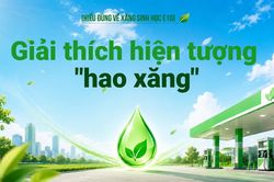 Giải thích hiện tượng 'hao xăng'
