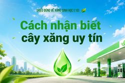 Cách nhận biết cây xăng uy tín