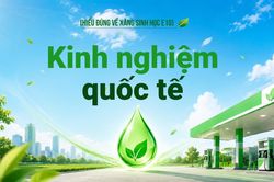 Kinh nghiệm quốc tế
