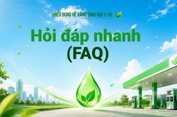 Hỏi đáp nhanh