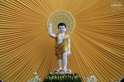 Huế: Trang nghiêm cử hành Đại lễ Phật đản Phật lịch 2570 tại tổ đình Từ Đàm