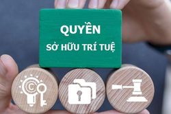 Theo dòng thời sự: Bảo vệ bản quyền báo chí là bảo vệ nền báo chí chuyên nghiệp