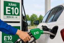 Xăng E5, E10 không ảnh hưởng động cơ xe