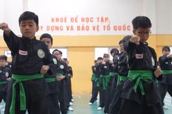 Võ cổ truyền Hà Nội góp phần thúc đẩy kinh tế thể thao