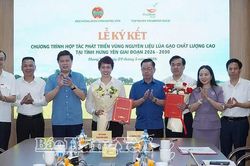 Hưng Yên: Thúc đẩy liên kết chuỗi giá trị nông nghiệp bền vững