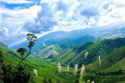 Giữ hồn văn hóa, phát triển du lịch xanh ở vùng miền núi phía Tây xứ Huế