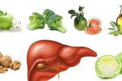 5 loại thực phẩm hỗ trợ sức khỏe gan tốt nhất