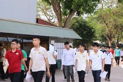 Đề thi Văn vào lớp 10 ở Hải Phòng chọn chủ đề tình mẹ, lòng biết ơn gia đình