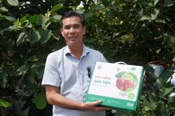 'Cận cảnh' mận Sân Tiên giá 230.000 đồng/kg, cao gấp 5,5 lần sầu riêng RI6 hàng A