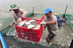 N&ocirc;ng l&acirc;m thủy sản xuất si&ecirc;u hơn 8,4 tỉ đ&ocirc; la sau 5 th&aacute;ng