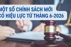 [Infographic] Một số ch&iacute;nh s&aacute;ch mới c&oacute; hiệu lực từ th&aacute;ng 6 năm 2026