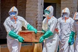 Ebola ở Congo lây lan 'chưa từng có', nguy cơ vượt khỏi tầm kiểm soát
