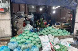 Sản xuất hơn 1.000 tấn giá đỗ bằng hóa chất, 4 người bị khởi tố